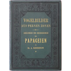 Vogelbilder aus fernen Zonen. Abbildungen und Beschreibungen der Papageien.