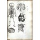 Anatomia ex Caspari Bartholini ... reformata