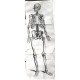 Anatomia ex Caspari Bartholini ... reformata