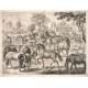 Les Haras