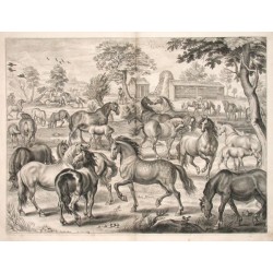 Les Haras