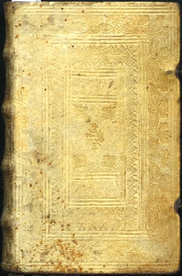 Idea Medicinae Secundum Logicas Leges Informandae Et Describendae