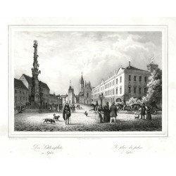 Das Schlossplatz in Teplitz