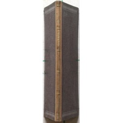 Ungarische Briefe über die Theiß-Eisenbahn