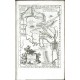 Geographia Sacra, seu Phaleg et Canaan
