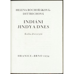 Indiáni jindy a dnes