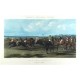Horse racing. Racing-Plate 1 - 4