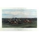 Horse racing. Racing-Plate 1 - 4