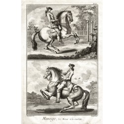 Koně, jezdectví - Manège, Le Mézair et la Courbette