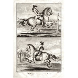 Koně, jezdectví - Manège, La Croupade at la Balotade