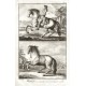 Koně, jezdectví - Manège, Le Galop uni ...