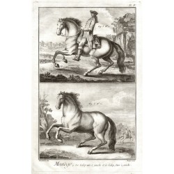 Koně, jezdectví - Manège, Le Galop uni ...
