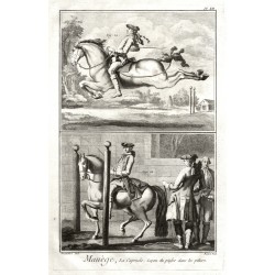Horses, Horsemanship - Manège, La Capricole, ...