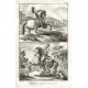 Horses, Horsemanship - Manège, La Volte et ...