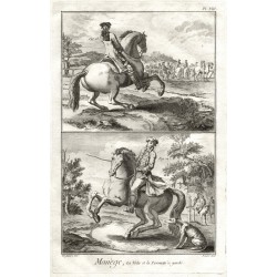 Pferde, Reitkunst - Manège, La Volte et ...