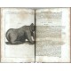 Physica Curiosa sive Mirabilia Naturae et Artis
