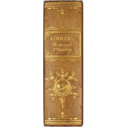 Köhler's Medizinal-Pflanzen