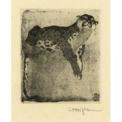 Gepard