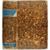 Provinzial Gesetzsammlung des Königreichs Böhmen für das Jahr 1840