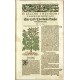 New vollkommenlich Kräuter-Buch