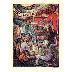 Ex libris Jiří Havelka