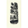 Ex libris Cyril Bouda