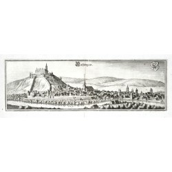 Vaihingen