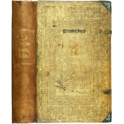 Kräuterbuch Deß uralten ... Griechischen Scribenten Pedacii Dioscoridis