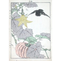 Birds and plants