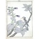 Birds and plants