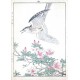Birds and plants