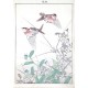 Birds and plants