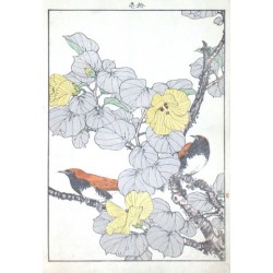 Birds and plants