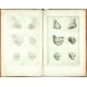 Explicatio tabularum anatomicarum Bartholomaei Eustachii