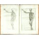 Explicatio tabularum anatomicarum Bartholomaei Eustachii