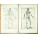 Explicatio tabularum anatomicarum Bartholomaei Eustachii