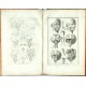 Explicatio tabularum anatomicarum Bartholomaei Eustachii