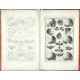Explicatio tabularum anatomicarum Bartholomaei Eustachii