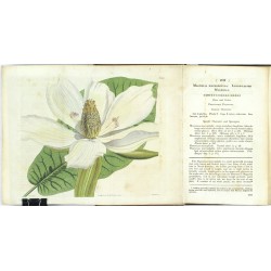 Curtis's Botanical Magazine ... Vol. 48