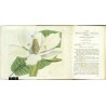 Curtis's Botanical Magazine ... Vol. 48