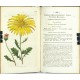 Curtis's Botanical Magazine ... Vol. 48