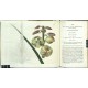 Curtis's Botanical Magazine ... Vol. 48