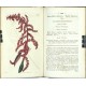 Curtis's Botanical Magazine ... Vol. 48