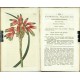 Curtis's Botanical Magazine ... Vol. 48