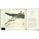 Curtis's Botanical Magazine ... Vol. 50