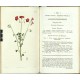 Curtis's Botanical Magazine ... Vol. 50