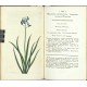 Curtis's Botanical Magazine ... Vol. 50