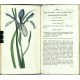 Curtis's Botanical Magazine ... Vol. 52