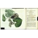 Curtis's Botanical Magazine ... Vol. 52