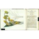Curtis's Botanical Magazine ... Vol. 52